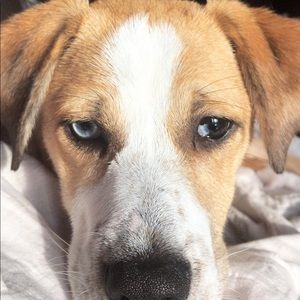 Meet your Posher, Lj